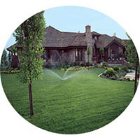 Elko New Market grass sprinkler systems